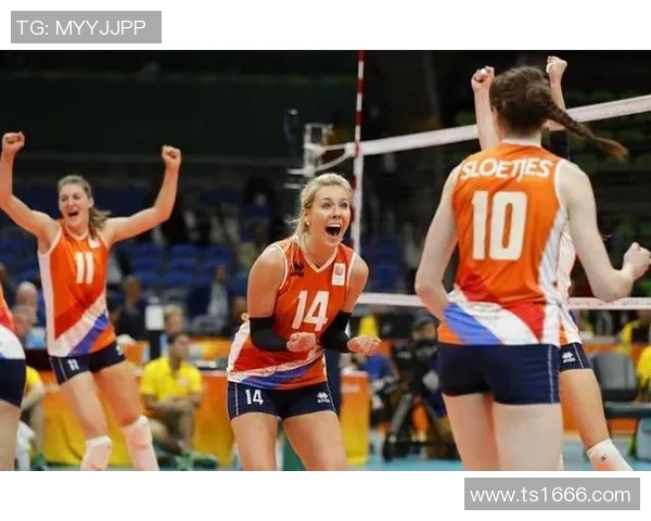 武汉排球队在欧锦赛中的意识表现分析与点评